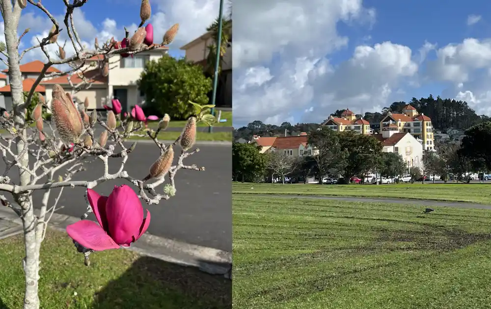 ニュージーランドの街中の風景