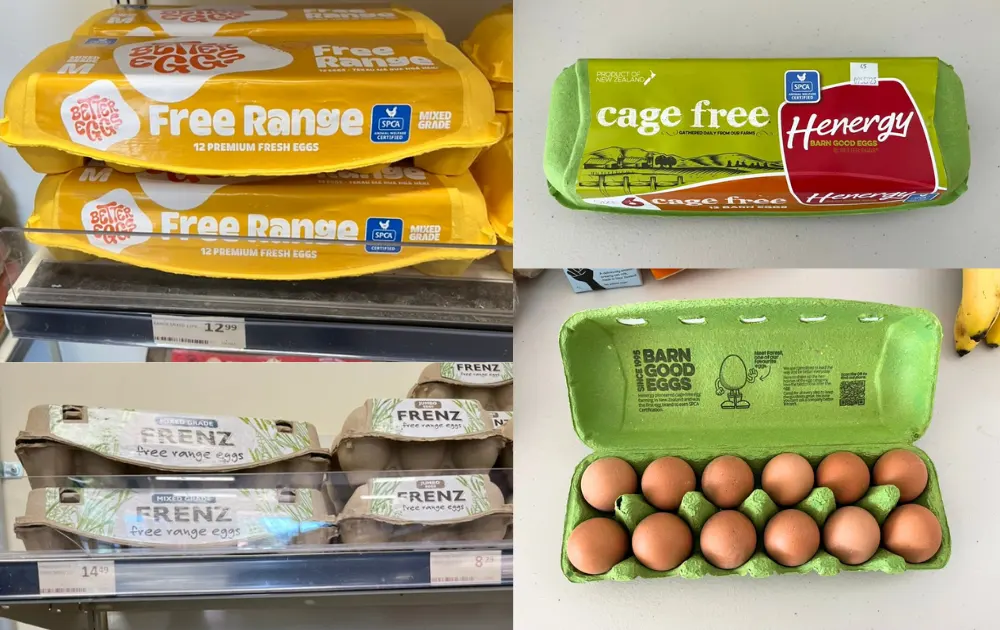 NZスーパーで買えるおすすめ卵Cage Free Eggs